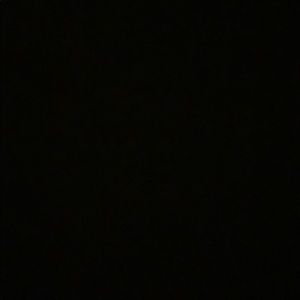 Meet your Posher, Carlie